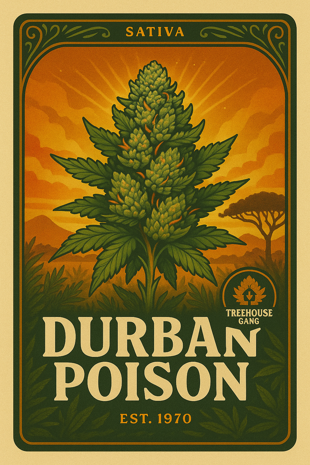 Durban Poison
